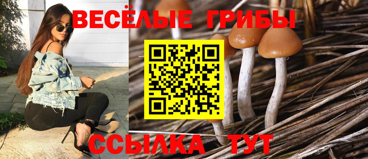 Галлюциногенные грибы Psilocybe  Вход с VPN  Лангепас 