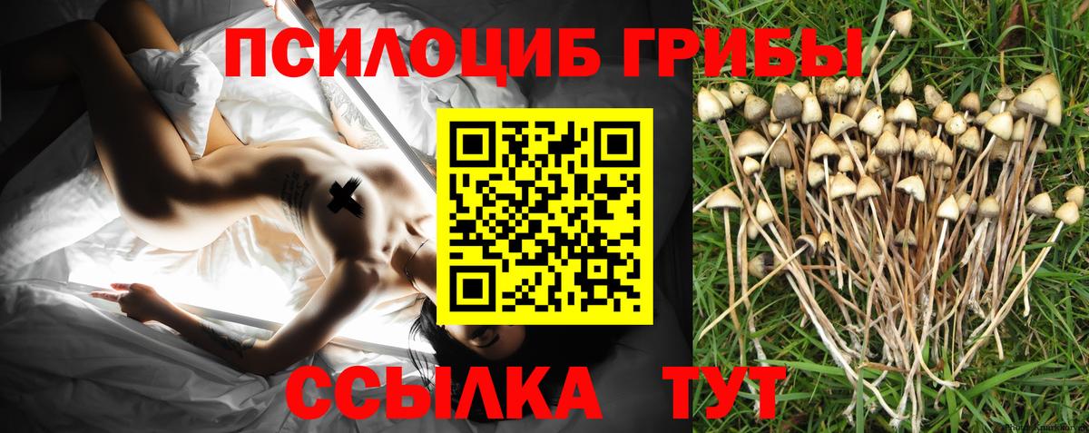 Псилоцибиновые грибы прущие грибы Лангепас